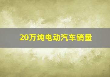 20万纯电动汽车销量