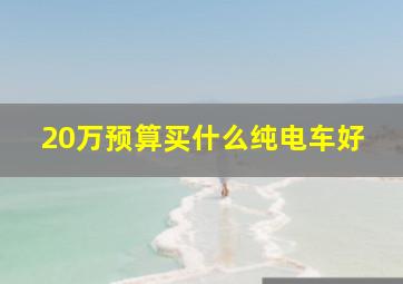 20万预算买什么纯电车好