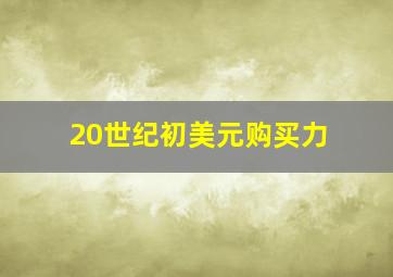 20世纪初美元购买力