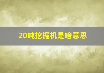 20吨挖掘机是啥意思