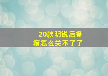 20款明锐后备箱怎么关不了了