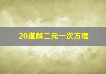 20道解二元一次方程