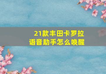 21款丰田卡罗拉语音助手怎么唤醒