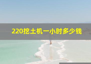 220挖土机一小时多少钱