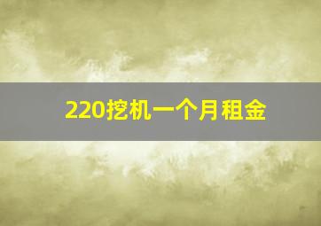 220挖机一个月租金