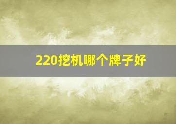 220挖机哪个牌子好