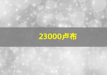 23000卢布