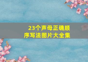 23个声母正确顺序写法图片大全集