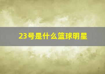 23号是什么篮球明星