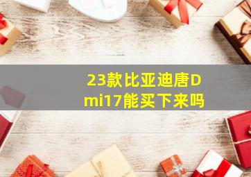 23款比亚迪唐Dmi17能买下来吗