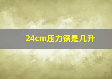 24cm压力锅是几升