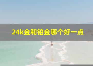 24k金和铂金哪个好一点