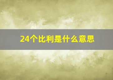 24个比利是什么意思