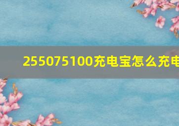 255075100充电宝怎么充电