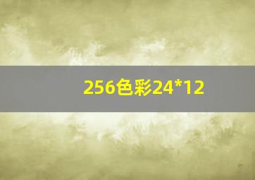 256色彩24*12