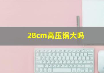 28cm高压锅大吗