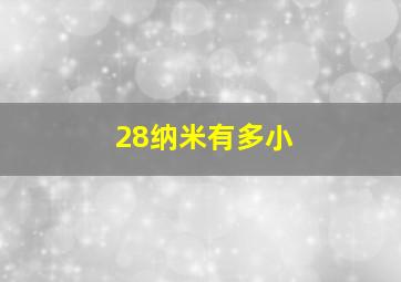 28纳米有多小