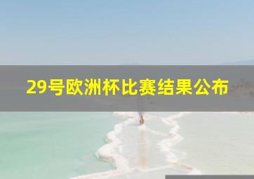 29号欧洲杯比赛结果公布