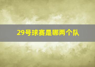 29号球赛是哪两个队