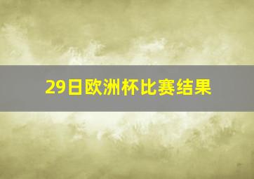 29日欧洲杯比赛结果