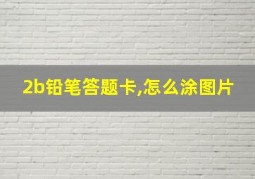 2b铅笔答题卡,怎么涂图片