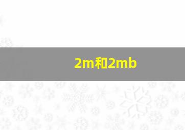 2m和2mb