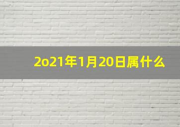 2o21年1月20日属什么