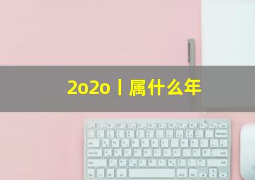 2o2o丨属什么年