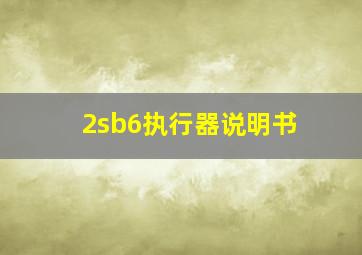 2sb6执行器说明书