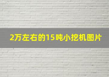 2万左右的15吨小挖机图片