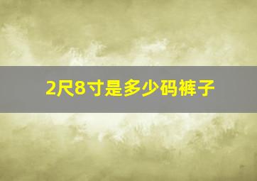 2尺8寸是多少码裤子