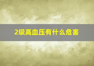 2级高血压有什么危害