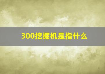 300挖掘机是指什么