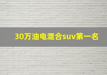 30万油电混合suv第一名