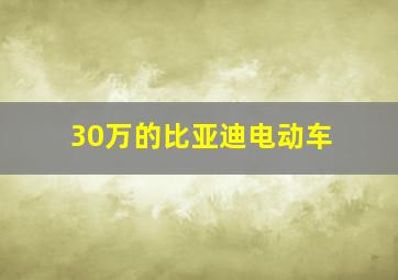 30万的比亚迪电动车