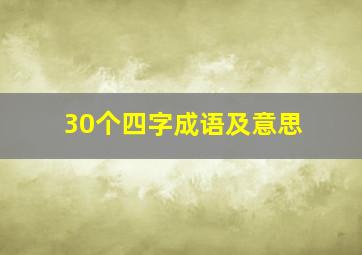 30个四字成语及意思