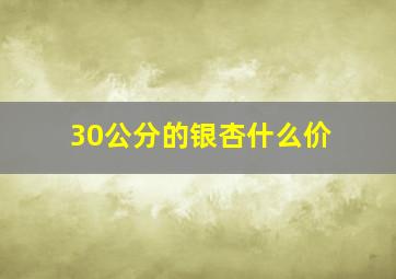 30公分的银杏什么价