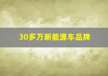 30多万新能源车品牌