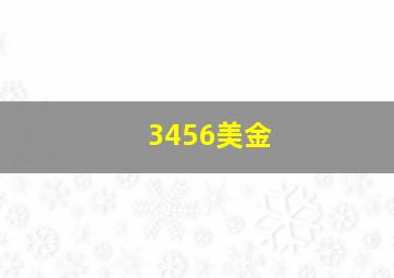 3456美金