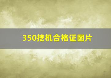 350挖机合格证图片