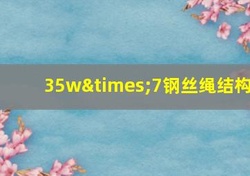 35w×7钢丝绳结构