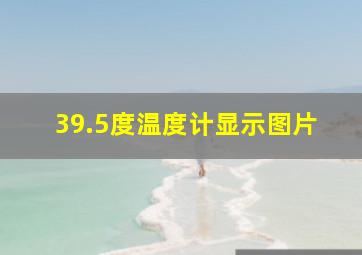 39.5度温度计显示图片