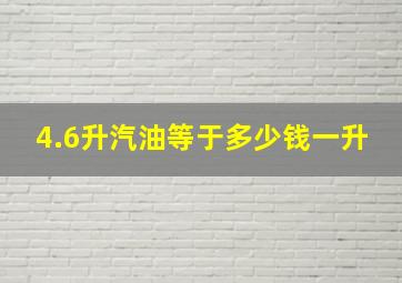 4.6升汽油等于多少钱一升