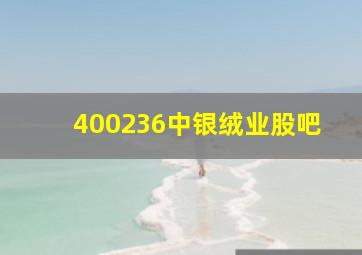 400236中银绒业股吧