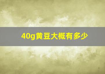 40g黄豆大概有多少