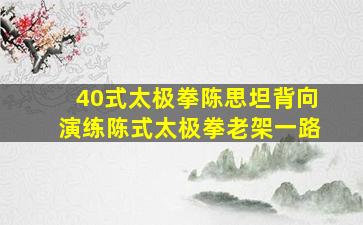 40式太极拳陈思坦背向演练陈式太极拳老架一路