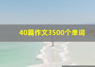 40篇作文3500个单词