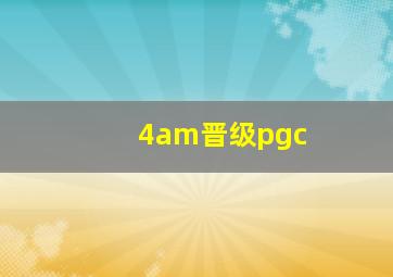 4am晋级pgc