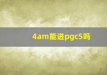 4am能进pgc5吗