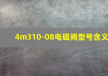 4m310-08电磁阀型号含义